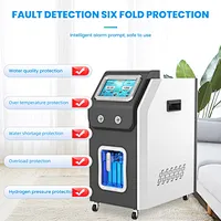 Hydrogen Generator